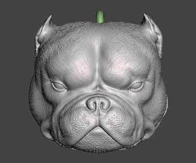 llavero exótico matón luchó perro miagui cabeza giagui Arte esculturas 3d print model - Mito3D
