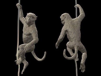 cola macaco animal real realista impresión imprimible 3dprint monitor estatua salvaje fauna silvestre naturaleza oro lindo juguete esculpir escultura mono Arte esculturas 3d print model - Mito3D