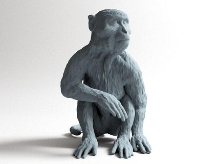 longo cauda macaco animal animais rabo longa humano fofa selvagem Fazenda fdm sla dlp miniatura brinquedo brinquedos sentar arte esculturas 3d print model - Mito3D