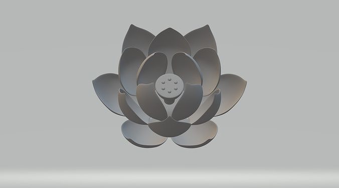 lotus flower 3d model aquatic plant water lily leaves bud garden park pink vase glass nature bouquet leaf 3detto art sculptures 3D print model - Mito3D