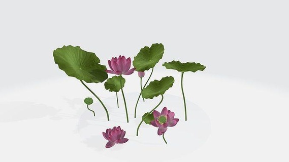 lotus çiçek 3d model Sanat suda yaşayan bitki Su zambak yapraklar tomurcuk Bahçe park pembe vazo bardak doğa buket Yaprak 3detto heykeller 3d print model - Mito3D
