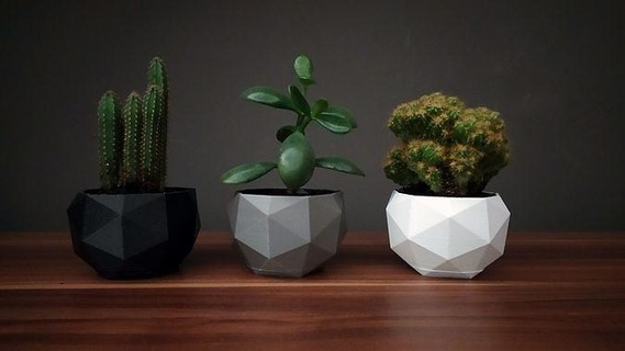 düşük poli çiçek tencere doğa bitki çalı dekor ev 3d print model - Mito3D