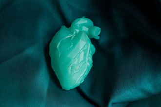 poly heart human of plastic romance love internal organ cardiac art sculptures 3d print model - Mito3D
