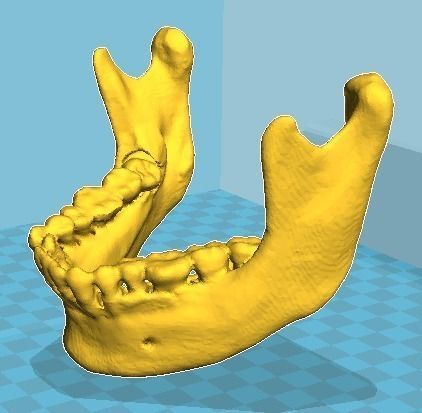 mandible modeling 3dprinter science biology stlfile microbiology medical medicine laboratory 3D print model - Mito3D