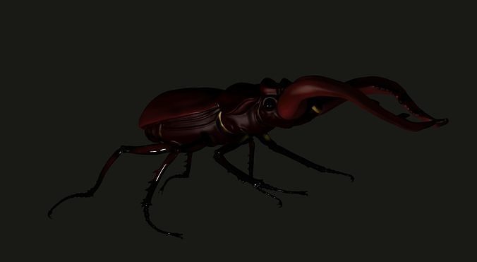 lucanus gebärmutterhals käfer insekt wirbellos marienkäfer biologie nashorn illustration tierwelt natur wissenschaft skarabäus tier wespe 3D print model - Mito3D