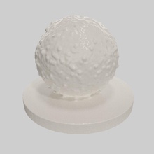 lymphocyte cell science immune biology health white blood destroy lysis 3d print model - Mito3D