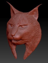 le lynx de la tête science 3dprint 3dprinting animaux animal zbrush féline cat bigcats les mammifères nature d'impression imprimable biologie highpoly highdetail lince mamifero 3d print model - Mito3D