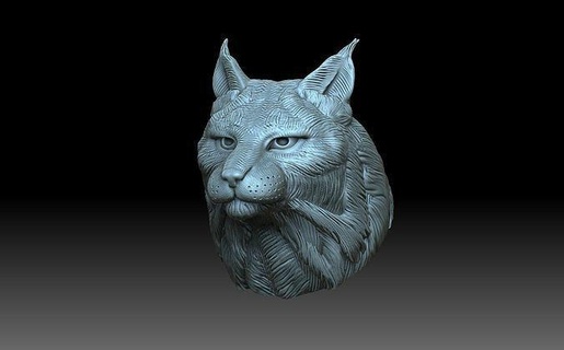 lince testa gatto gattino figura figurina maikun zoo bobcat felino micio animale arte sculture 3d print model - Mito3D