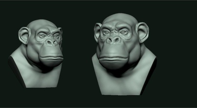 macaco 3d two chimpanzee heads animal especie modelage estudo art sculptures 3d print model - Mito3D