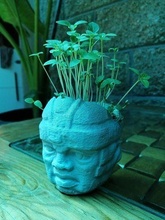 maceta plantador olmeca hogar casa planta ar livre 3d print model - Mito3D