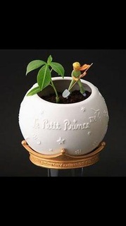 maceta pequeno Príncipe Panela plantar jardín hogar plantas lua universo decoracion casa decoração 3d print model - Mito3D