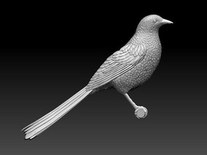 saksağan kuş yüksek Yazdır heykel poli iç Sanat heykeller karga kuyruksallayan 3d print model - Mito3D