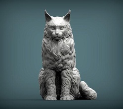 maine rakun şöhret kedi hayvan memeli vahşi evcil hayvan yavru doğa yavrusu heykel heykelcik hatıra 3d yazdır model heykeller sanat 3d print model - Mito3D