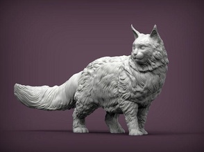 maine coon fama gatto animale mammifero selvaggio domestico gattino natura scultura statuetta souvenir 3d stampa modello sculture arte 3d print model - Mito3D