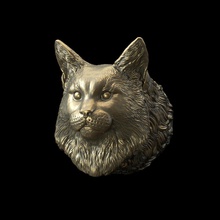 maine rakun baş kedi hayvan yavrusu memeli doğa heykel yüksek poli 3d model yazdırılabilir yazdır vahşi şekil vermek taş takı kolye 3d print model - Mito3D