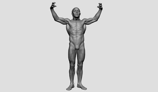 male anatomy printable v2 man body character characters human people torso arm hand feet 3dprint realistic sculpting zbrush face art sculptures 3d print model - Mito3D