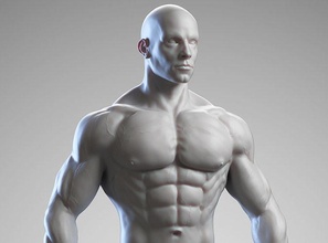 masculino anatomía referencia 3d impresión modelo cuerpo zbrush 3dprint figurilla figura escultura miniaturas figuritas personaje estatua hombre humano malla base arte esculturas 3d print model - Mito3D
