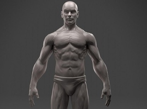 male anatomy sculpture characters man human people person character body bare sculpted reference art sculptures 3d print model - Mito3D