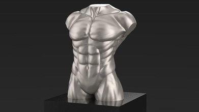 male body torso stl 3dprint human anatomy muscle bust decor house 3d print model - Mito3D