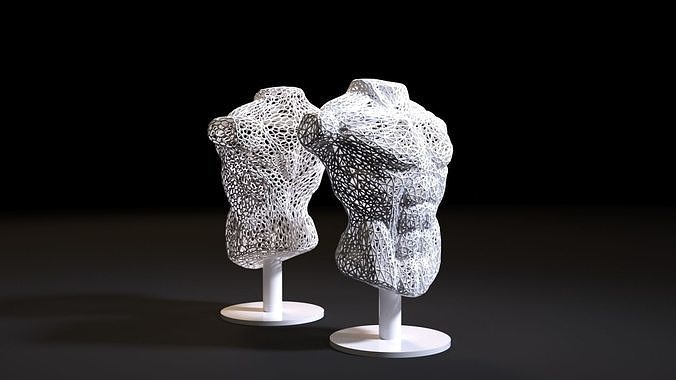 männlich Torso Körper voronoi Anatomie Muskel Büste Dekor Haus Kunst Dekoration Statue Natur wunderschönen Skulpturen 3dprint 3D print model - Mito3D