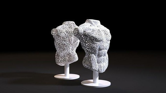 masculino tronco humano corpo Voronoi anatomia músculo fracasso decoração casa arte estátua natureza lindo esculturas 3dprint 3d print model - Mito3D