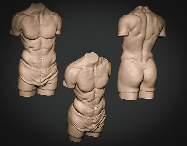 Masculin torse 01 anatomie personnage homme corps Humain Jeu concept étude référence art sculptures 3D print model - Mito3D