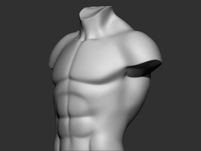 maschio torso 3d stampa modello anatomia corpo nudo carattere colonna vertebrale osso seno polmone umano femmina 3dprint giocattolo gameto statua giochi giocattoli fegato 3d print model - Mito3D