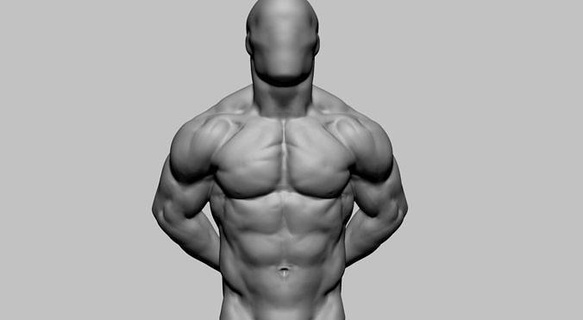Masculin torse imprimable v2 personnages Humain homme corps anatomie sculpture zbrush 3dprint art sculptures 3d print model - Mito3D