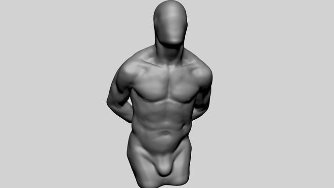 male torso printable v3 characters people man human body figure anatomy sculpture statue zbrush 3dprint sculpting art sculptures 3D print model - Mito3D