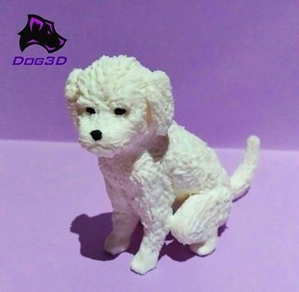 maltese cane 3d stampabile Stampa perro cucciolo animale juguete arte miscelatore fdm pla giocattolo impressione domestico miniatura sculture 3d print model - Mito3D