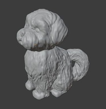 maltas or shih tzu perro 3d impresión tzudog maltés 3dprint sabueso cachorro perrito miniatura perroparaimprimir pasatiempo bricolaje diy 3d print model - Mito3D