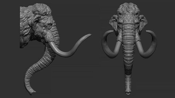 mamut cabeza animal naturaleza mamífero escultura estatuilla recuerdo presente imprimible esculpir Arte estatua pelaje oro joyería joya elefante esculturas 3d print model - Mito3D