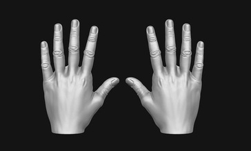 man hands - ztl stl obj anatomy human body science medical jewerly decor home educational zbrush finger miniatures hand preschool biology 3d print model - Mito3D
