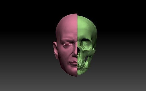 man scull man scull print sculpture skeleton head male anatomy men art sculptures male anatomy male head man sculpture  3d print model - Mito3D