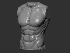 homem tronco corpo manequim masculino humano escultura arte esculturas 3d print model - Mito3D