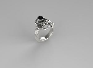 homme femme anneau de prendre soin l'eau bijoux le platine couple l'anneau précieux pour toujours imprimable or silhouette l'homme les anneaux 3d print model - Mito3D
