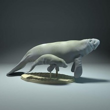 Seekuh Kalb Tier Meer Marine Ozean Kuh Tierwelt Kreatur realistisch niedlich Skulptur Figur Zahl Miniatur Kunst Skulpturen 3d print model - Mito3D