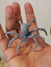 mandaloriano hielo araña 3 poses guerra Galaxias ciencia ficción extraterrestre fi espacio criatura Araña futuro alienígena juegos juguetes 3d print model - Mito3D