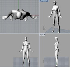 manichino femmina umano figura corpo posizione moda 3d print model - Mito3D