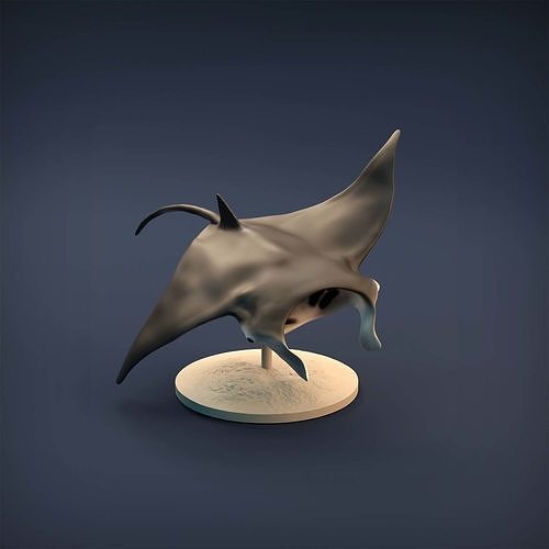manta ray 3d printing animal marine sea sculpture miniature figure wildlife fish ocean water art toy statue nature sculptures 3D print model - Mito3D