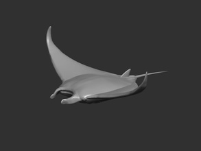 manta ray fish water animal underwater ocean nature sea art sculptures 3d print model - Mito3D