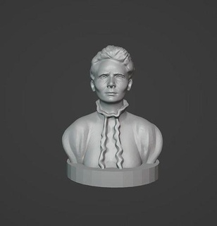 Marie curie Curie sauraient chimiste physicien radioactivité Einstein tesla Faraday nobel Prix Nobel art sculptures pierrecurie 3d print model - Mito3D