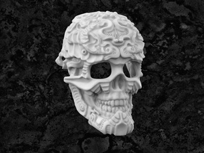 mask-1 mask printable skull biomechanical face helmet plastic horror art halloween head hobby diy other 3d print model - Mito3D