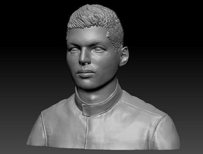 max verstappen bust f1 driver champion character head human male man portrait sculptures motorsport racing sports art 3d print model - Mito3D