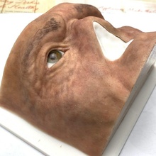 mold maxillofacial prosthetic work model silicone prosthesis anaplastology facial orbital nasal artificialeye mask head masquerade science biology 3d print model - Mito3D