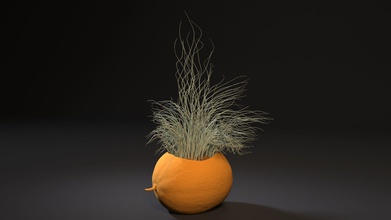 melon planter art 3d printer decor decoration general pot vase interior other 3d print model - Mito3D