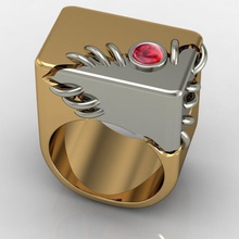 mfs jewelry 2 colored ring men cabashon rings 3d print model - Mito3D