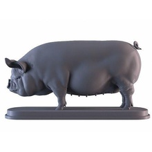 middle white pig animal mammal coin statue sculpture decor miniature nature 3dprinter printable art female silver gold resin sculptures 3d print model - Mito3D