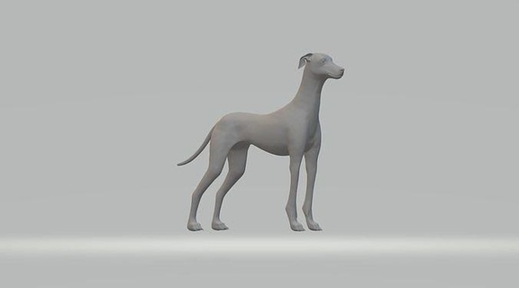 Meilen Whippet neutral Pose Tier Hund Englisch Windhund locken Laufen Courser Hündchen Eckzahn Begleiter Miniatur Kreatur Dungeons Drachen Kunst Skulpturen 3d print model - Mito3D