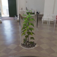 model vaso çiçek bitki iç dekorasyon casa blender vazo doğa genel dekor ev 3d print model - Mito3D